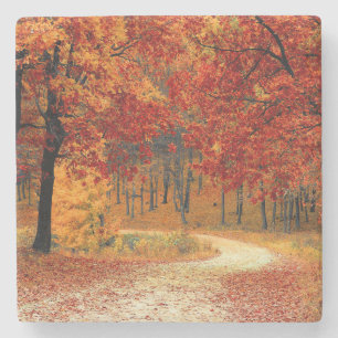 Posavasos De Piedra Camino a través de los árboles en otoño