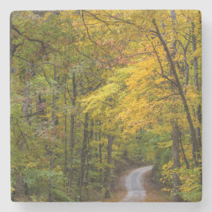 Posavasos De Piedra Camino de grava pequeña bordeado de color de otoño