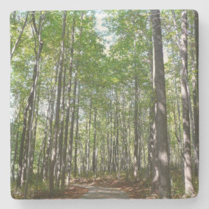 Posavasos De Piedra Camino Maderado Centenario II Ellicott City Maryla