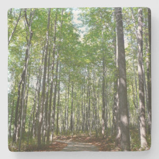 Posavasos De Piedra Camino Maderado Centenario II Ellicott City Maryla