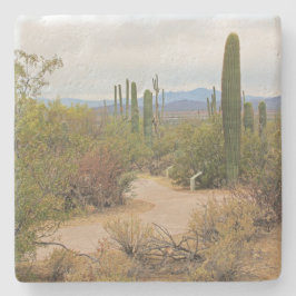 Posavasos De Piedra Camino por el desierto en Arizona, cuenca sq