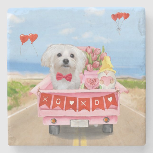 Posavasos De Piedra Camión El día de San Valentín de perro de Malta (Anverso)