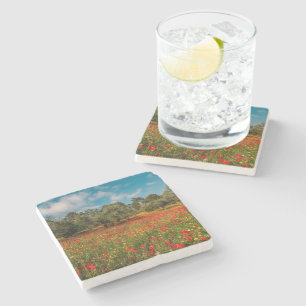 Posavasos De Piedra campo con flores y árboles