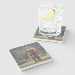 Posavasos De Piedra Campo de hierba de otoño de ternera de vaca de las