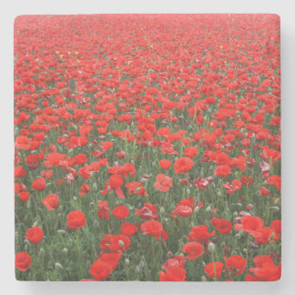Posavasos De Piedra Campo de los lapachos rojos