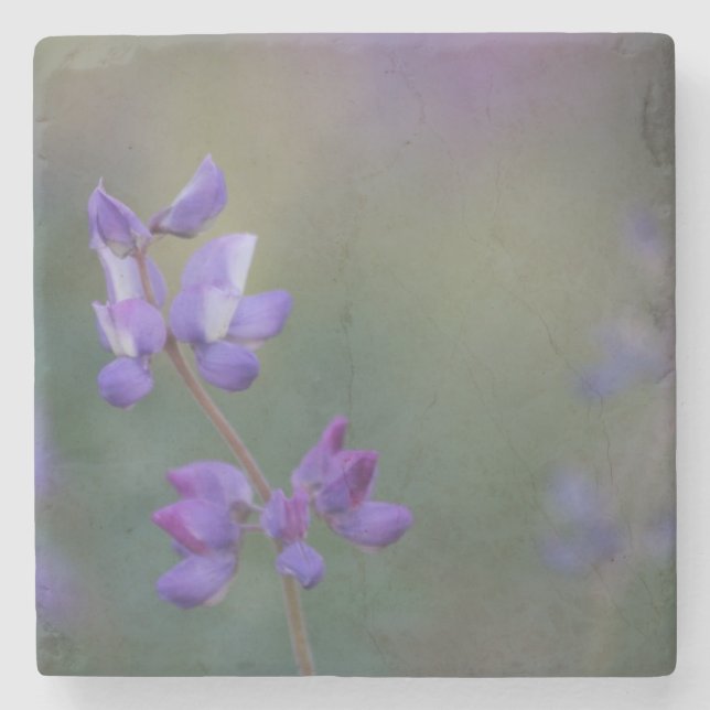 Posavasos De Piedra Campo de Lupine (Anverso)