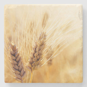 Posavasos De Piedra Campo de trigo