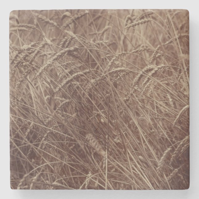 Posavasos De Piedra Campo de trigo (por Eugène Atget) (Anverso)