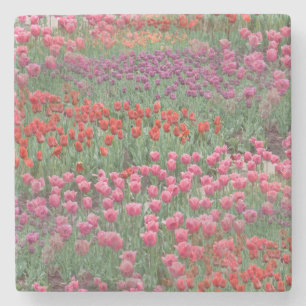 Posavasos De Piedra Campo De Tulipanes