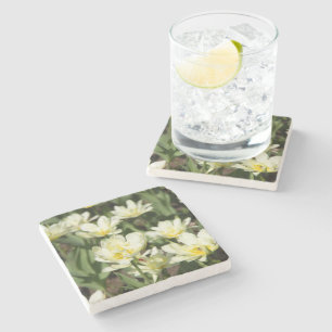Posavasos De Piedra Campo de tulipanes blancos Foto