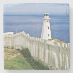 Posavasos De Piedra Canadá, Terranova, Cape Spear National 2