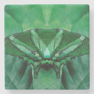 Posavasos De Piedra Canadá, Victoria, Victoria Butterfly Gardens