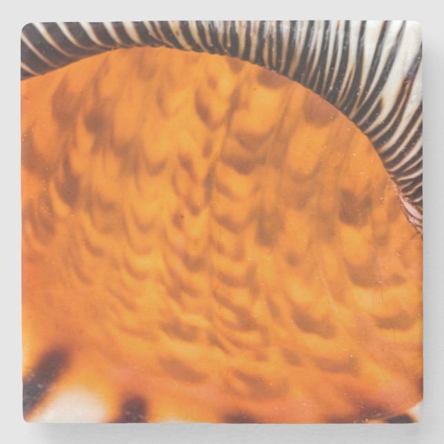 Posavasos De Piedra Capa de agua de mar (Anverso)