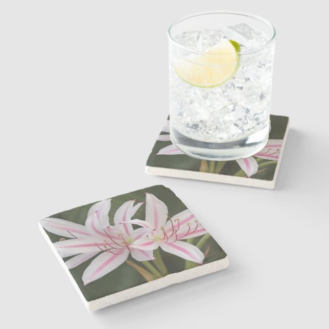 Posavasos De Piedra Cape Lily Stone Coaster (Lateral)