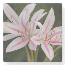 Cape Lily Stone Coaster