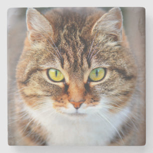 Posavasos De Piedra Cara de gato