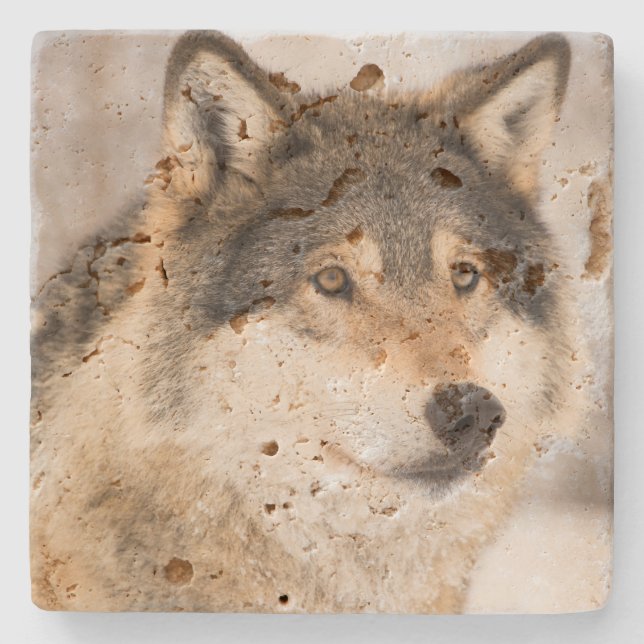 Posavasos De Piedra Cara de lobo (Anverso)