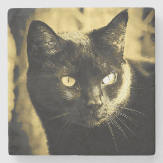 Posavasos De Piedra Cara del gato negro