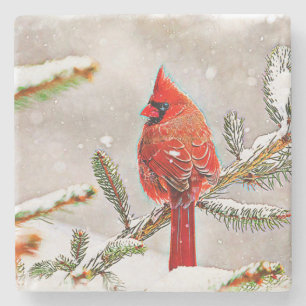 Posavasos De Piedra Cardenal en un pino en invierno