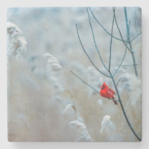 Posavasos De Piedra Cardenal Hermoso en la Nieve