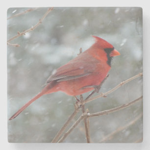 Posavasos De Piedra Cardenal rojo