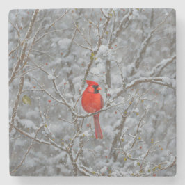 Posavasos De Piedra Cardenal Rojo de la nieve