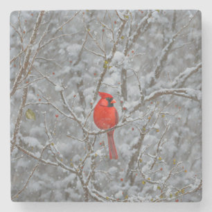 Posavasos De Piedra Cardenal Rojo de la nieve