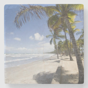 Posavasos De Piedra Caribe - Trinidad - Playa Manzanilla activada