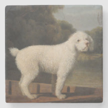 Carne blanca en una bocanada (de George Stubbs)