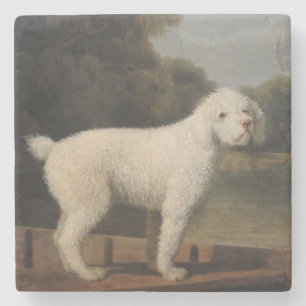 Posavasos De Piedra Carne blanca en una bocanada (de George Stubbs)