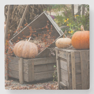 Posavasos De Piedra Carolina del Norte, Linville, calabazas de otoño