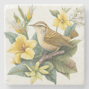 Posavasos De Piedra Carolina del Sur Yellow Jessamine Carolina Wren