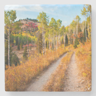Posavasos De Piedra Carretera a través de colores de otoño