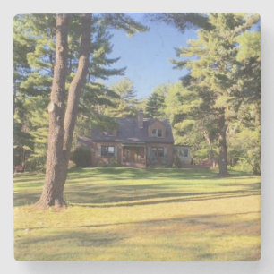 Posavasos De Piedra Casa con pinos