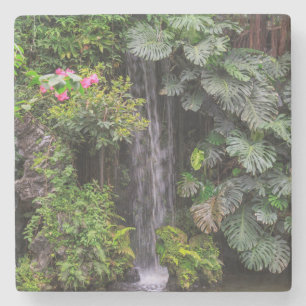 Posavasos De Piedra Cascada de los jardines exuberantes, China