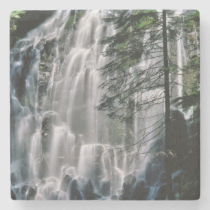 Posavasos De Piedra Cascada en bosque, Oregón