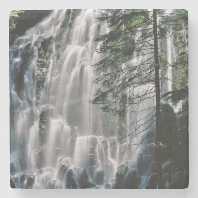 Posavasos De Piedra Cascada en bosque, Oregón (Anverso)