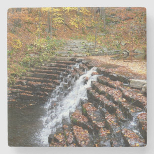Posavasos De Piedra Cascada en el Parque Estatal Laurel Hill
