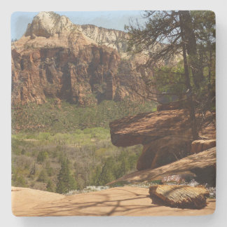 Posavasos De Piedra Cascada en Emerald Pools en Zion National Park