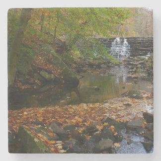 Posavasos De Piedra Cascada otoño y naturaleza de Creek Pennsylvania