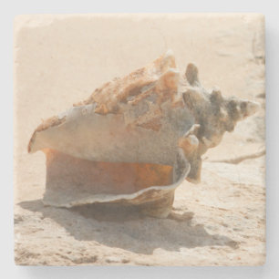 Posavasos De Piedra Cáscaras del mar en la playa