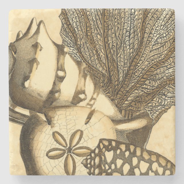 Posavasos De Piedra Cáscaras neutrales y colección coralina (Anverso)