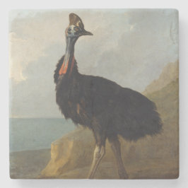 Posavasos De Piedra Cassowary (Australian Bird) (Wild Animal Art)