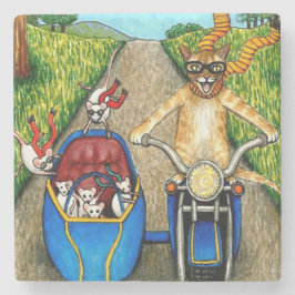 Posavasos De Piedra Cat 384