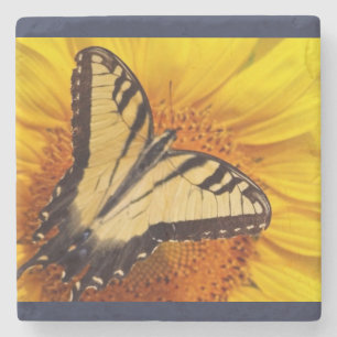 Posavasos De Piedra catastro de girasol III
