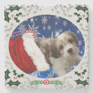 Posavasos De Piedra Cavachon Coaster, Perro Navidad