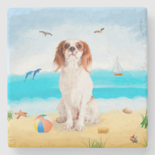 Posavasos De Piedra Cavalier King Dog en la playa