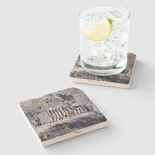 Posavasos De Piedra Cefalopodo Nautiloide Fósil Molusco del Mar Antigu (Lateral)