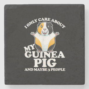 Posavasos De Piedra Cerdo guineano que me importa mi cerdo guineano