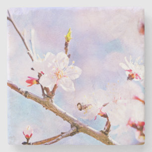 Posavasos De Piedra Cerezo japonés - Sakura en flor